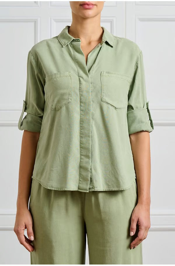 #colour_olive