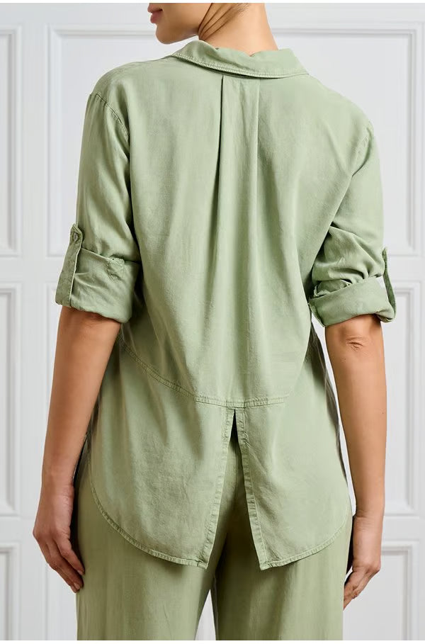 #colour_olive