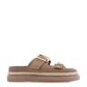 #colour_taupe