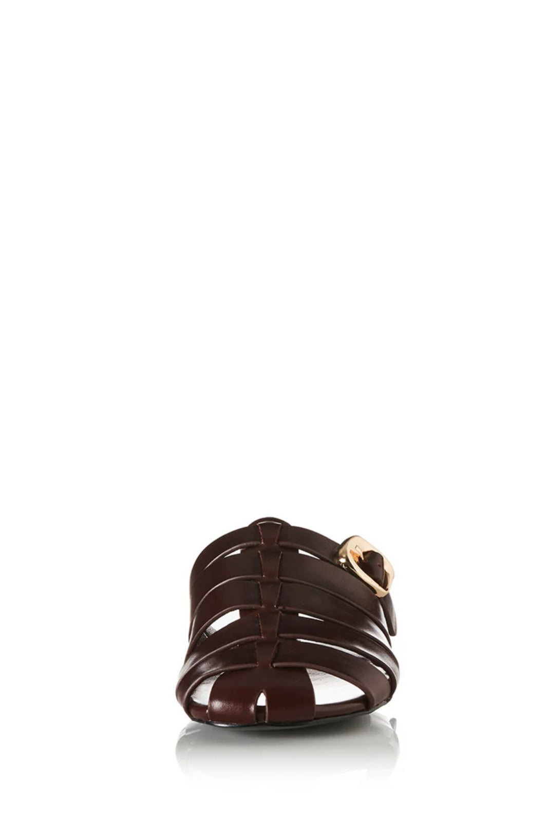#colour_cognac